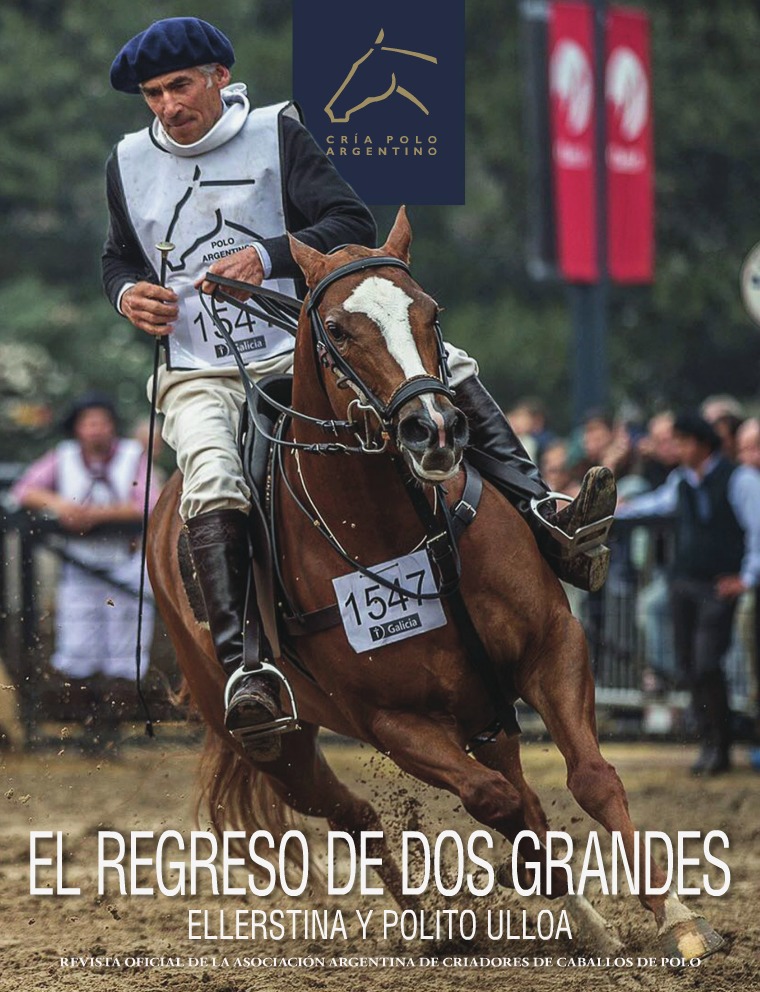 Revista Raza Polo Argentino 28