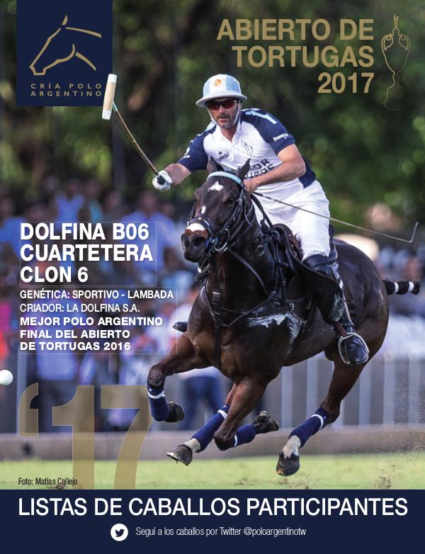 Listas Raza Polo Argentino 2017ListaAACCPTortugasD