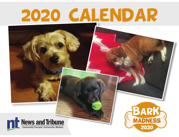 Bark Madness Calendar 2020