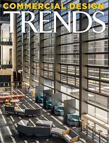 New Zealand Commercial Design Trends Series