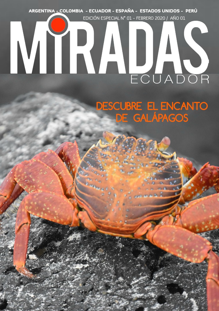 MIRADAS ECUADOR # 01