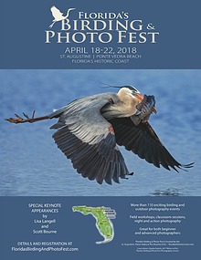 Florida's Birding & Photo Fest official guide