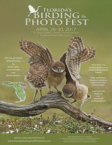Florida's Birding & Photo Fest official guide