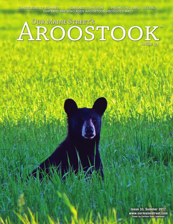 Our Maine Street's Aroostook Issue 33 : Summer 2017