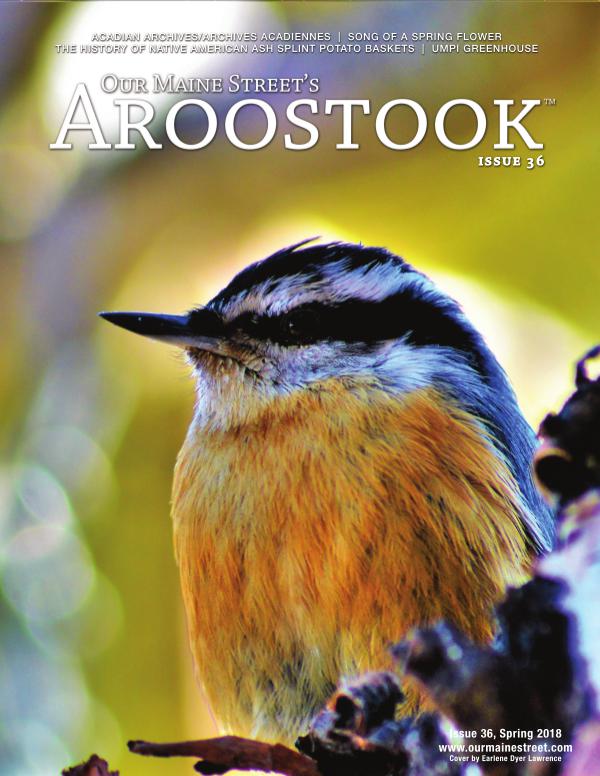 Our Maine Street's Aroostook Issue 36 : Spring 2018