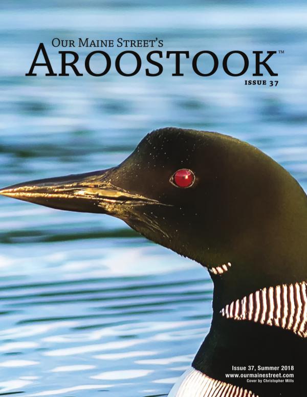 Our Maine Street's Aroostook Issue 37 : Summer 2018