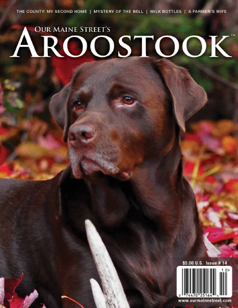 Our Maine Street's Aroostook Issue 14 : Fall 2012