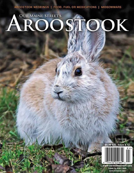 Our Maine Street's Aroostook Issue 12 : Spring 2012