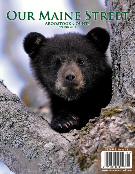 Our Maine Street's Aroostook Issue 8 : Spring 2011