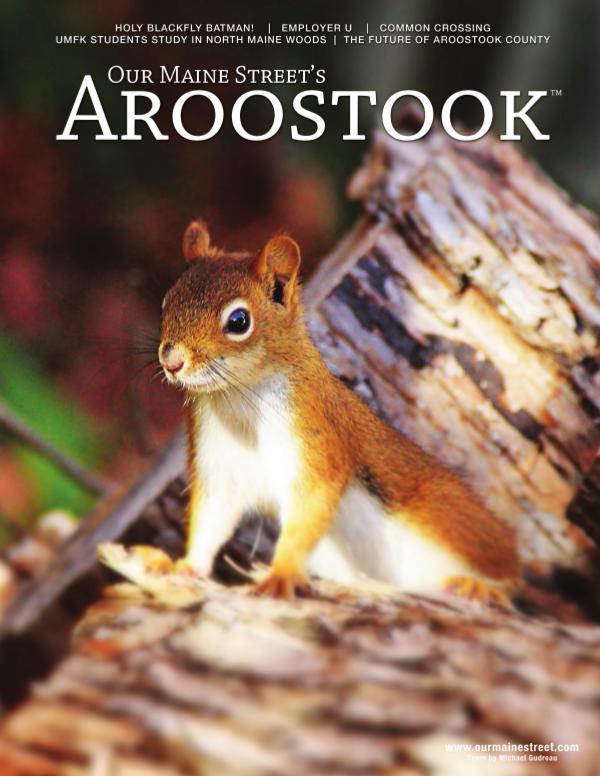 Our Maine Street's Aroostook Issue 30 : Fall 2016