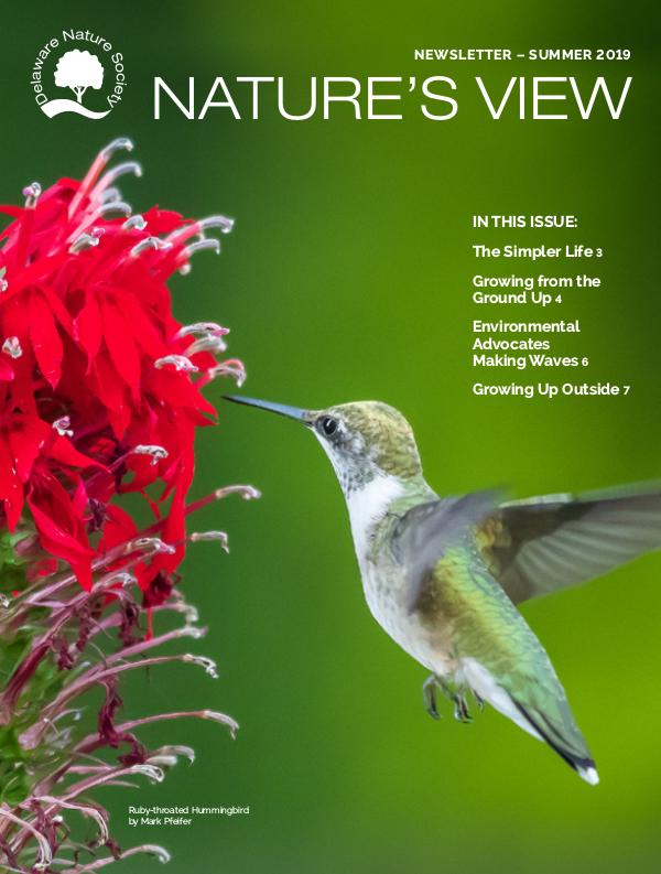 Delaware Nature Society Program Guide and Newsletter Summer 2019