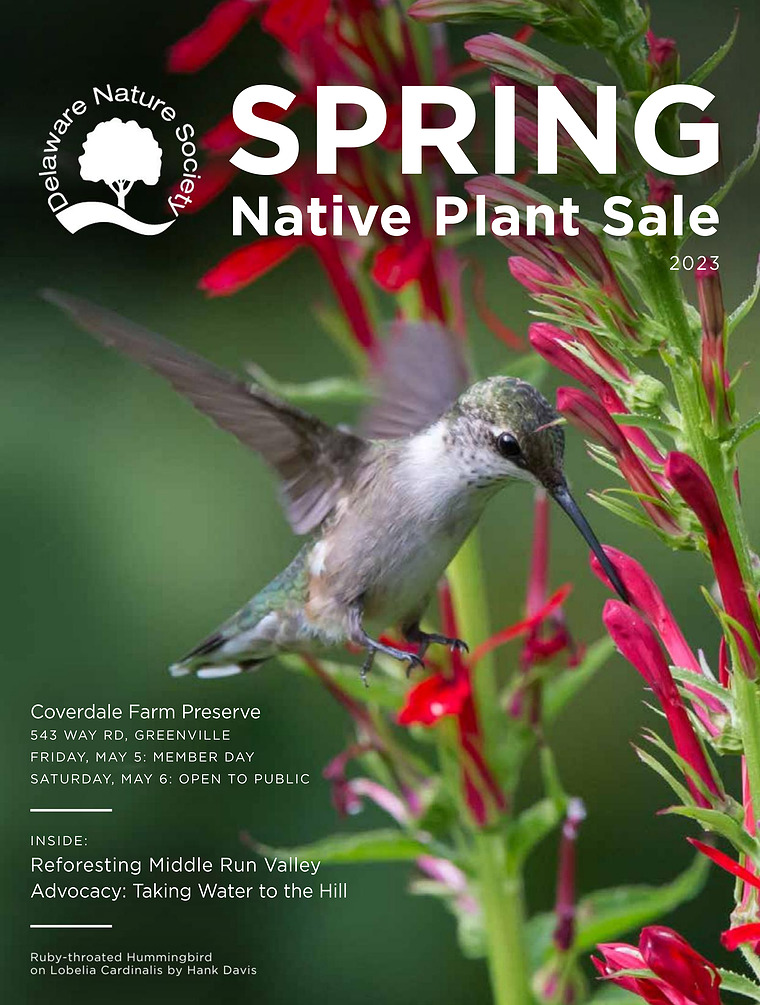 DelNature Native Plant Sale Catalogue - Spring 2023 Spring 2023
