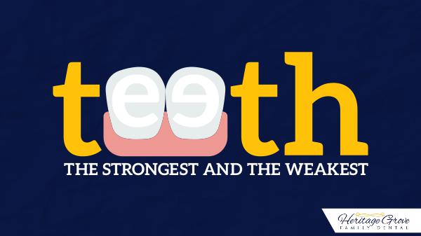 Teeth: The Strongest And The Weakest Teeth: The Strongest And The Weakest