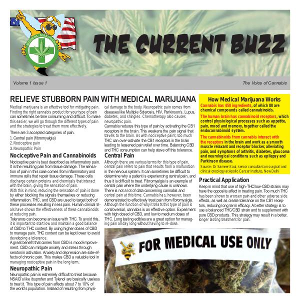 The Current Buzz Newspaper The Current Buzz Paper