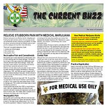 The Current Buzz Newspaper