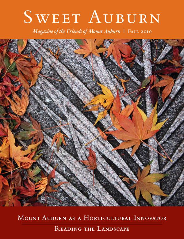 Sweet Auburn: The Magazine of the Friends of Mount Auburn Mount Auburn as a Horticultural Innovator