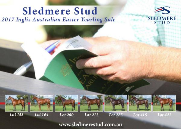Sledmere Stud - 2017 Inglis Australian Easter Yearling Sale 1
