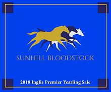 Sunhill Bloodstock: 2018 Inglis Premier Yearling Sale