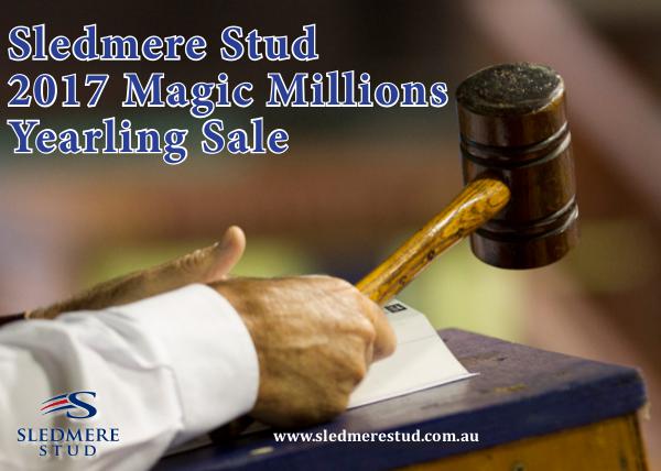 Sledmere Stud 2017 Magic Millions Yearling Sale January 2017