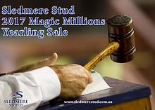 Sledmere Stud 2017 Magic Millions Yearling Sale