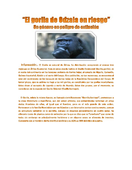 “El gorila de Odzala en riesgo” Un género en peligro de extinción