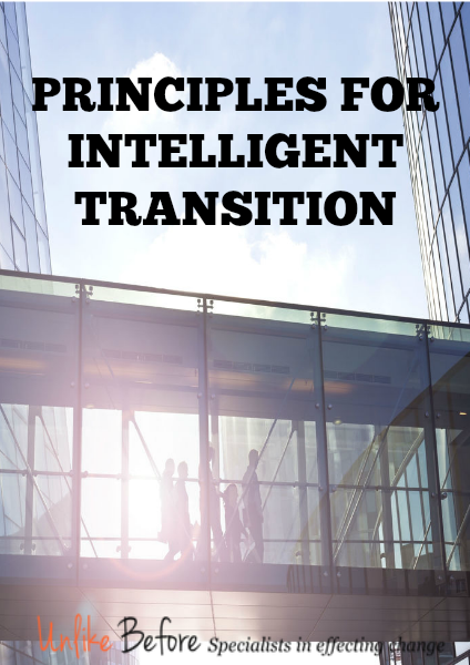 Principles for Intelligent Transition - Whitepaper