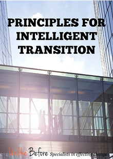 Principles for Intelligent Transition
