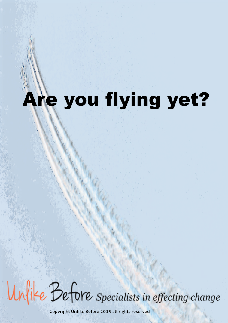 Are you flying yet? E-Book