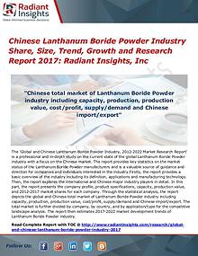 Chinese Lanthanum Boride Powder Industry Share, Size, Trend, 2017