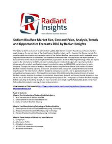 Sodium Bisulfate Market Size, Share, Cost and Price, Analysis 2016