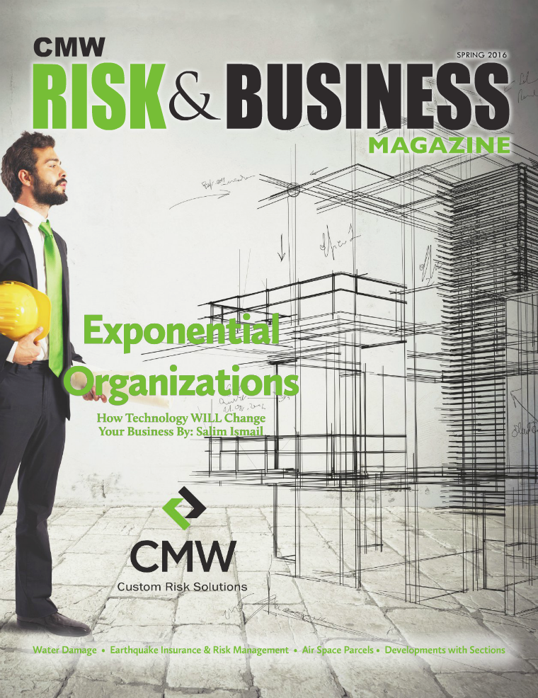 Risk & Business Magazine CMW Spring 2016