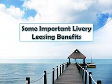 Some Important Livery Leasing Benefits