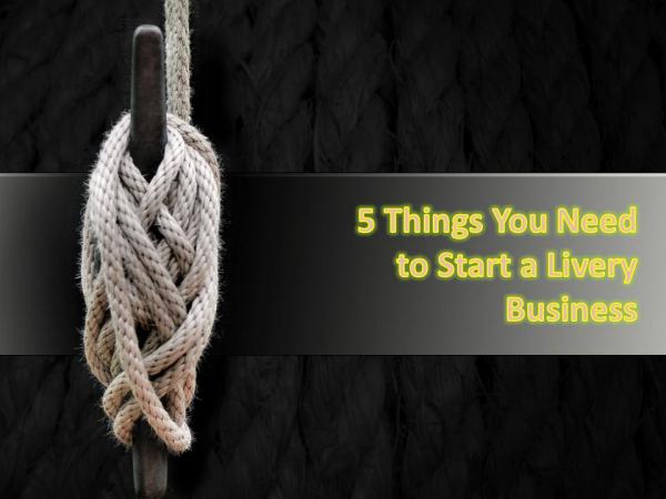 5 Things You Need to Start a Livery Business 5 Things You Need to Start a Livery Business