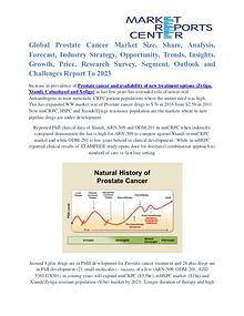 Prostate Cancer Market Business Outlook and Procurement Survey 2023