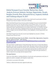 Transport Layer Security Market Share, Supply And Consumption To 2017