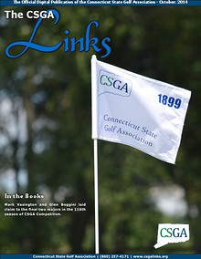 The CSGA Links