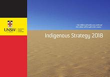 PVC- Indigenous Strategy