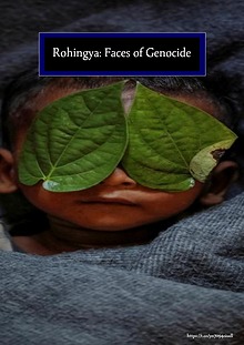 Rohingya Genocide: Faces of Genocide