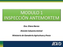 Modulo 1_Unidad tematica 1_INSPECCION ANTE MORTEM