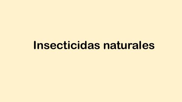 M6:Cafe RD- Insecticidas naturales Insecticidas naturales
