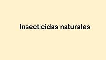 M6:Cafe RD- Insecticidas naturales