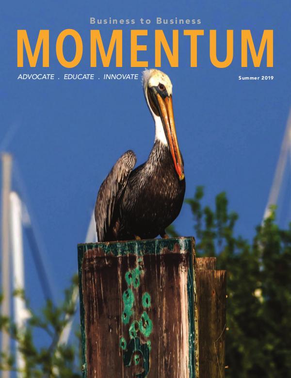 Momentum - Business to Business Online Magazine MOMENTUM SUMMER 2019