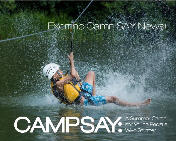 Camp SAY 2018 at Pocono Springs Pocono Springs Brochure