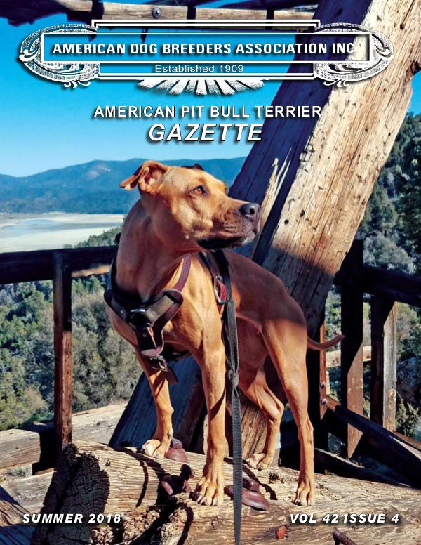 American Pit Bull Terrier Gazette Vol42 I4