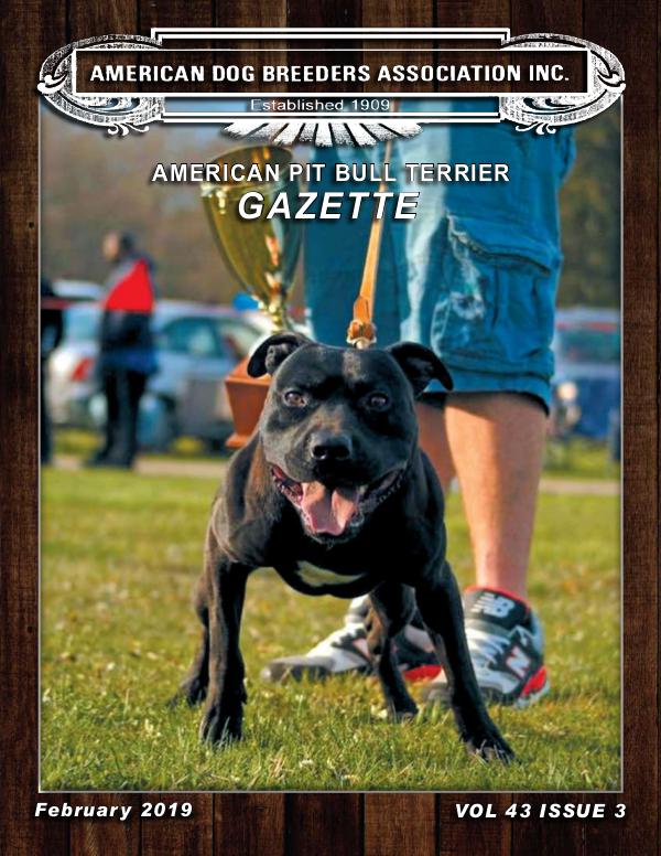 American Pit Bull Terrier Gazette Feb 2019 Vol43 I3