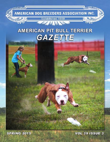 American Pit Bull Terrier Gazette Volume 39 Issue 3