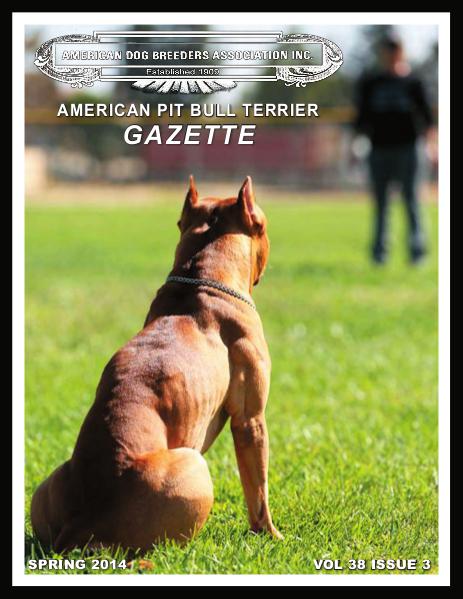 American Pit Bull Terrier Gazette Volume 38 Issue 3