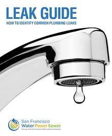 Leak Guide
