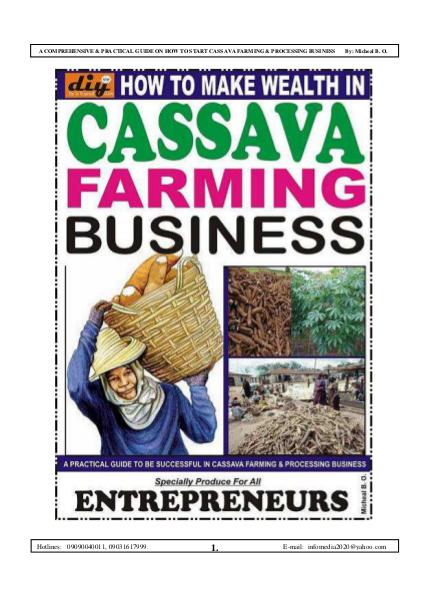 HOW TO MAKE WEALTH IN CASSAVA FARMING BUSINESS HOW TO MAKE WEALTH IN CASSAVA FARMING BUSINESS