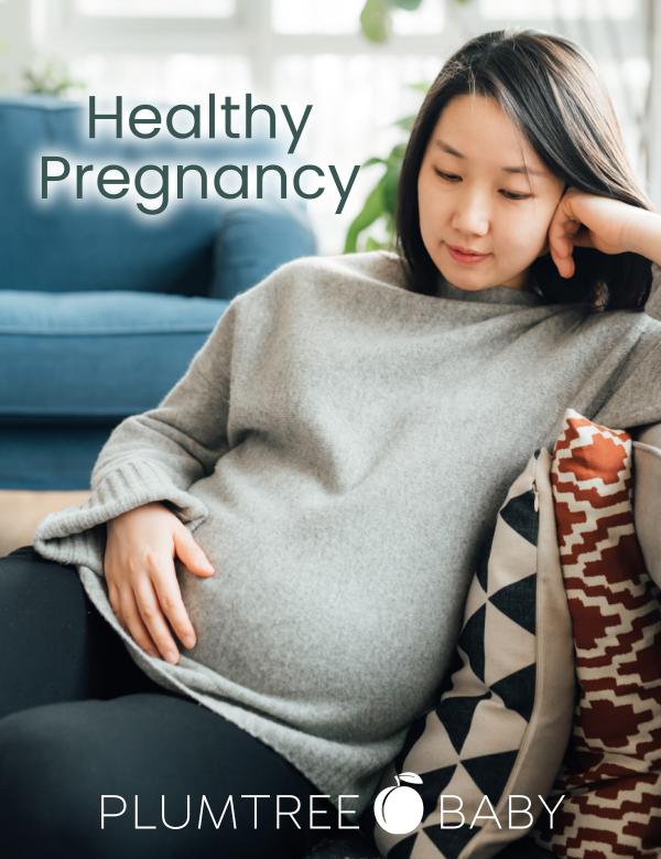 Digital Book Healthy Pregnancy v3.4